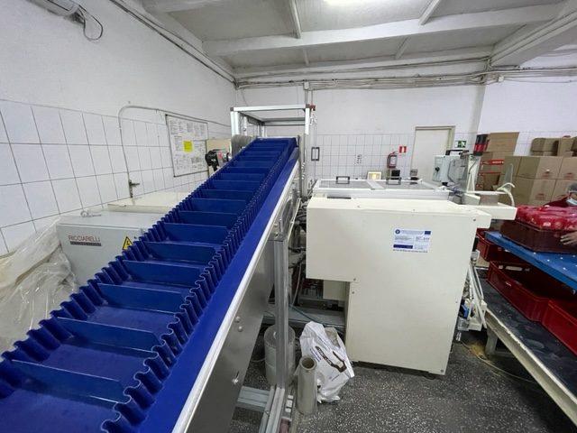 Extinderea capacității de producție de paste făinoase și sărățele